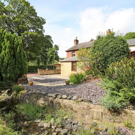 Brook Cottage Llanidloes Eksteriør bilde